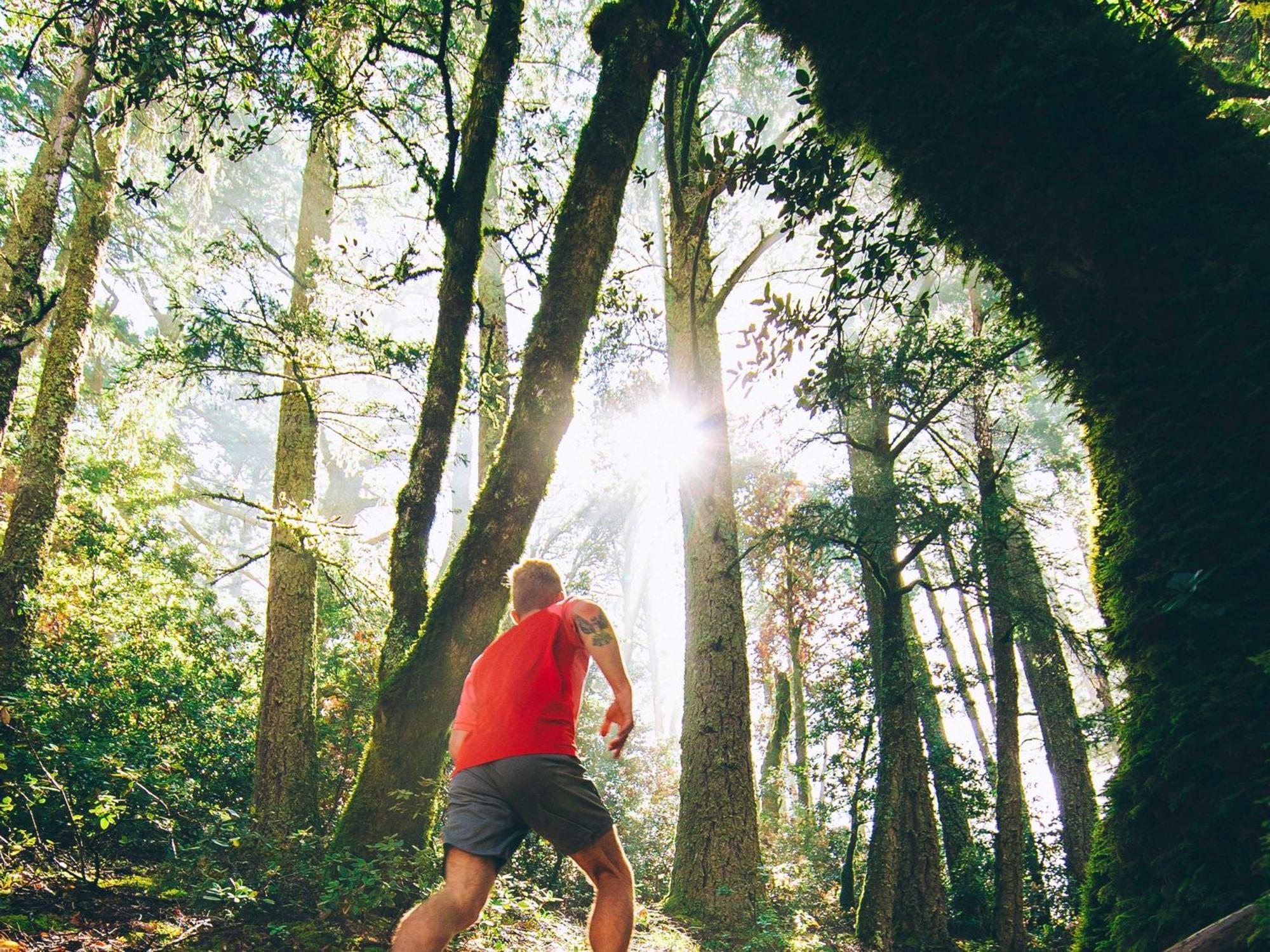 Hotel Fairmont San Francisco Exteriér fotografie A trail runner in the forest